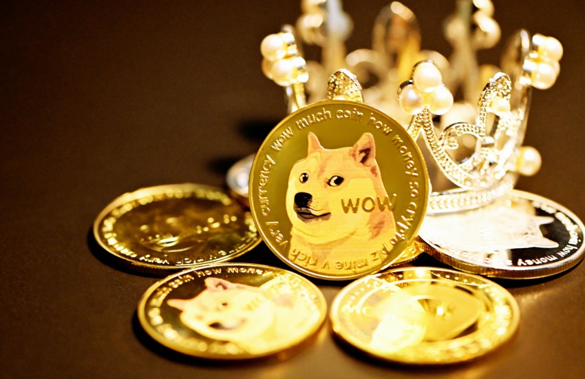 Project Lead Shares Why Shiba Inu’s Welly is “Most Valuable”