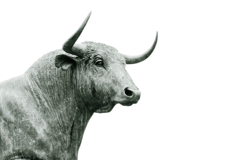 Elon Musk’s Tweet Spurs Optimism Among XRP Community, Initiating Bullish Sentiment