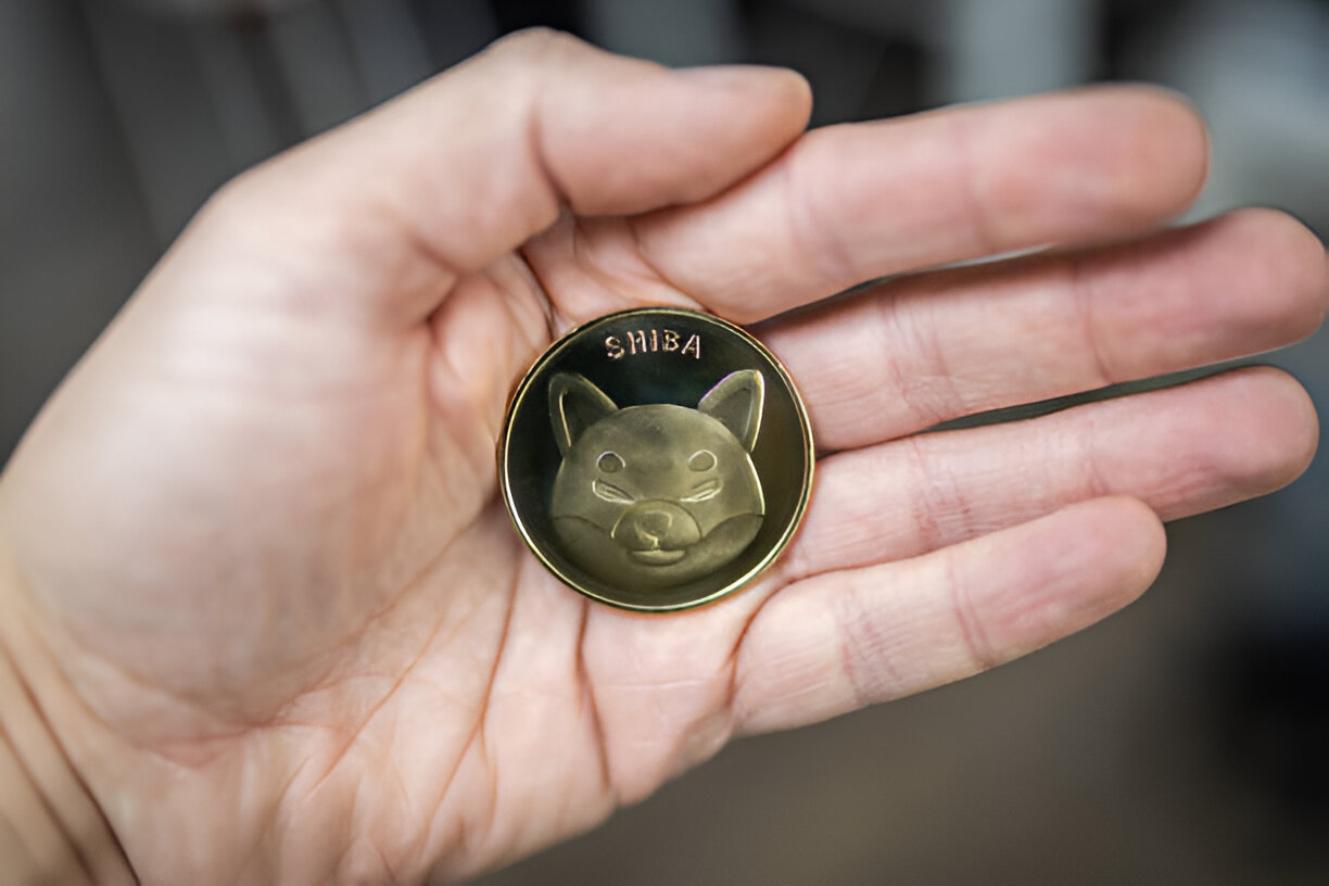 The Meme Coin Craze (Investing or Gambling?)